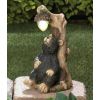 Accent Plus Solar Light-Up Bear Garden Statue