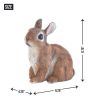 Accent Plus Sitting Bunny Rabbit Garden Decor