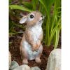 Accent Plus Standing Bunny Garden Decor