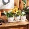 Accent Plus Ceramic Mini Planter Set - Ivory Round