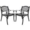 2 Piece Outdoor Dining Chairs; Cast Aluminum Chairs with Armrest; Patio Bistro Chair Set of 2 for Garden; Backyard (Lattice Design 2 Chairs)