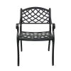 2 Piece Outdoor Dining Chairs; Cast Aluminum Chairs with Armrest; Patio Bistro Chair Set of 2 for Garden; Backyard (Lattice Design 2 Chairs)