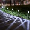 12 Pcs LED Stainless Steel Outdoor Garden Solar Lights for Pathway Walkway Patio Yard Lawn Cool White XH